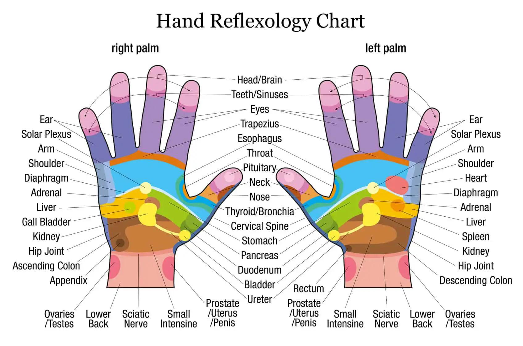 hand-reflexology_1695x Hand Reflexology
